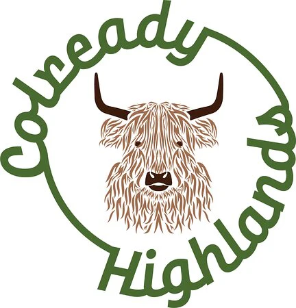 Highland Cow Experiences at Colready Farm